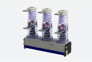 РиМ ВВ 10-20/1000-1(2,3,4)